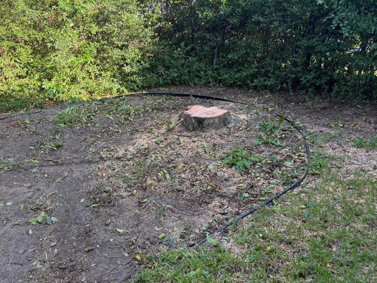 El Costeño Tree Service LLC
